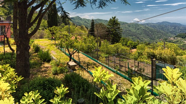 A lush garden with a variety of plants and trees, a fenced area, and a view of distant mountains. - Oasi Verde (Castiglione Chiavarese)
