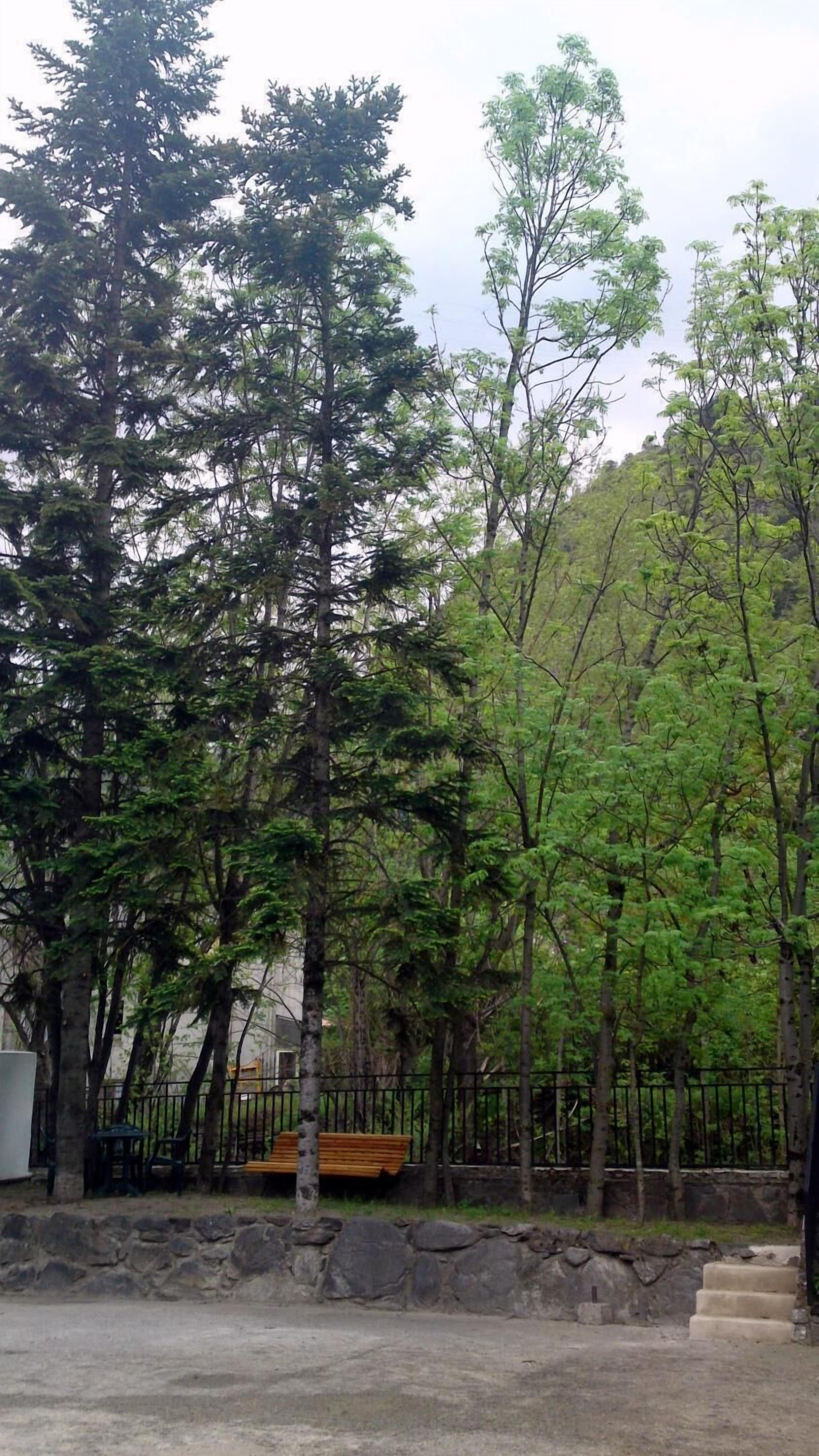 Photo - Hotel Peralba