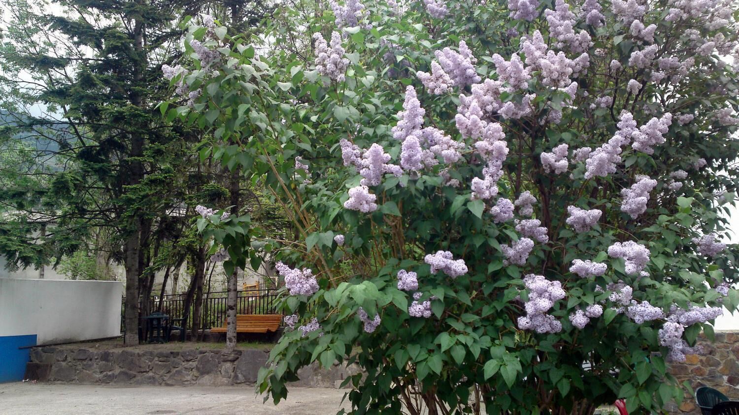 Photo - Hotel Peralba