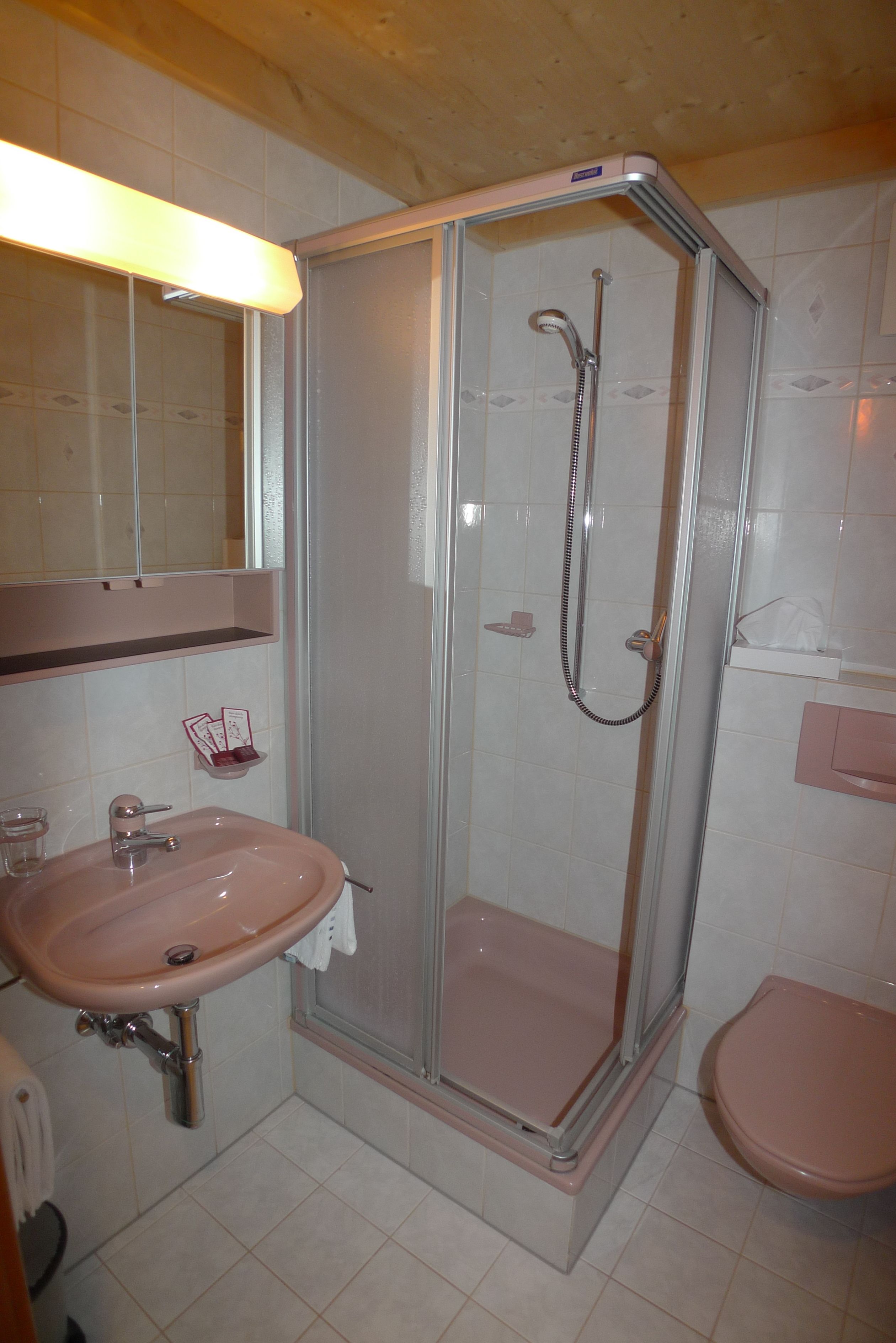Un baño con ducha acristalada, lavabo e inodoro.