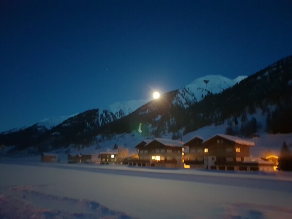 Snowshoeing