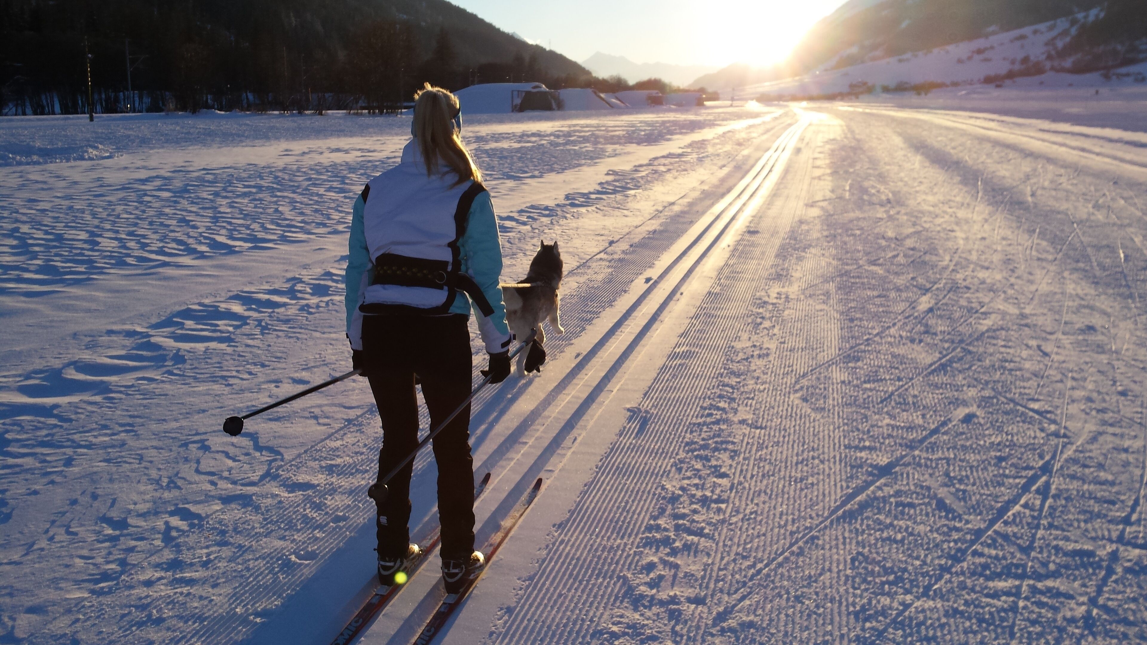 A person skiing on a snow-covered path with a dog.