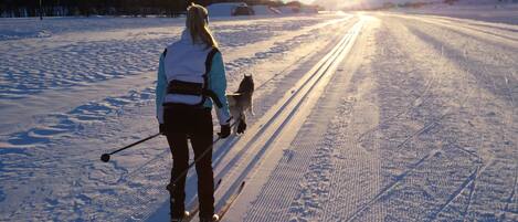 A person skiing on a snow-covered path with a dog.