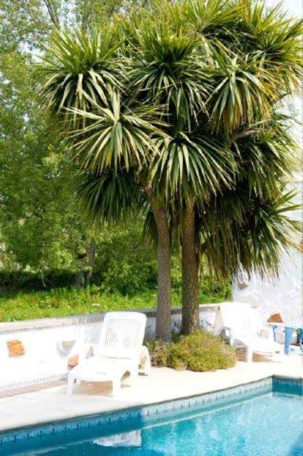 야외 수영장, 수영장 파라솔