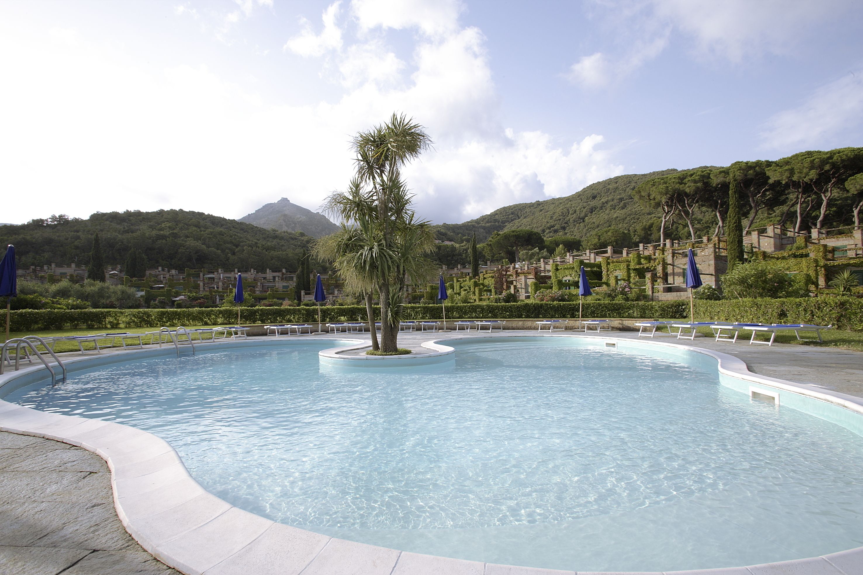 A swimming pool with a palm tree in the center, surrounded by blue umbrellas and benches.