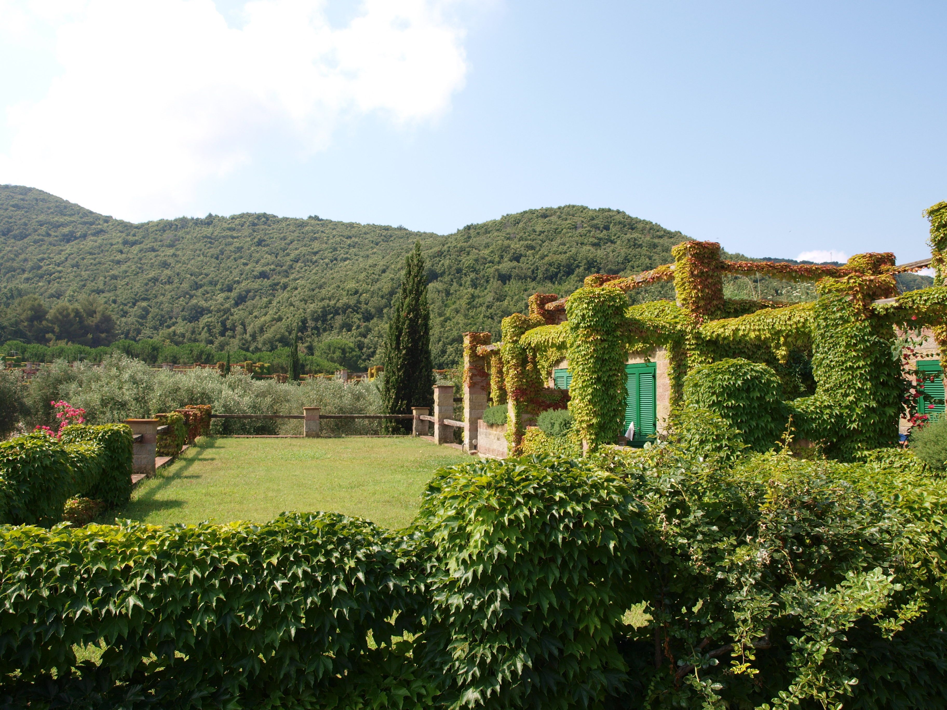 A lush garden with a stone pathway leading to a building covered in ivy.