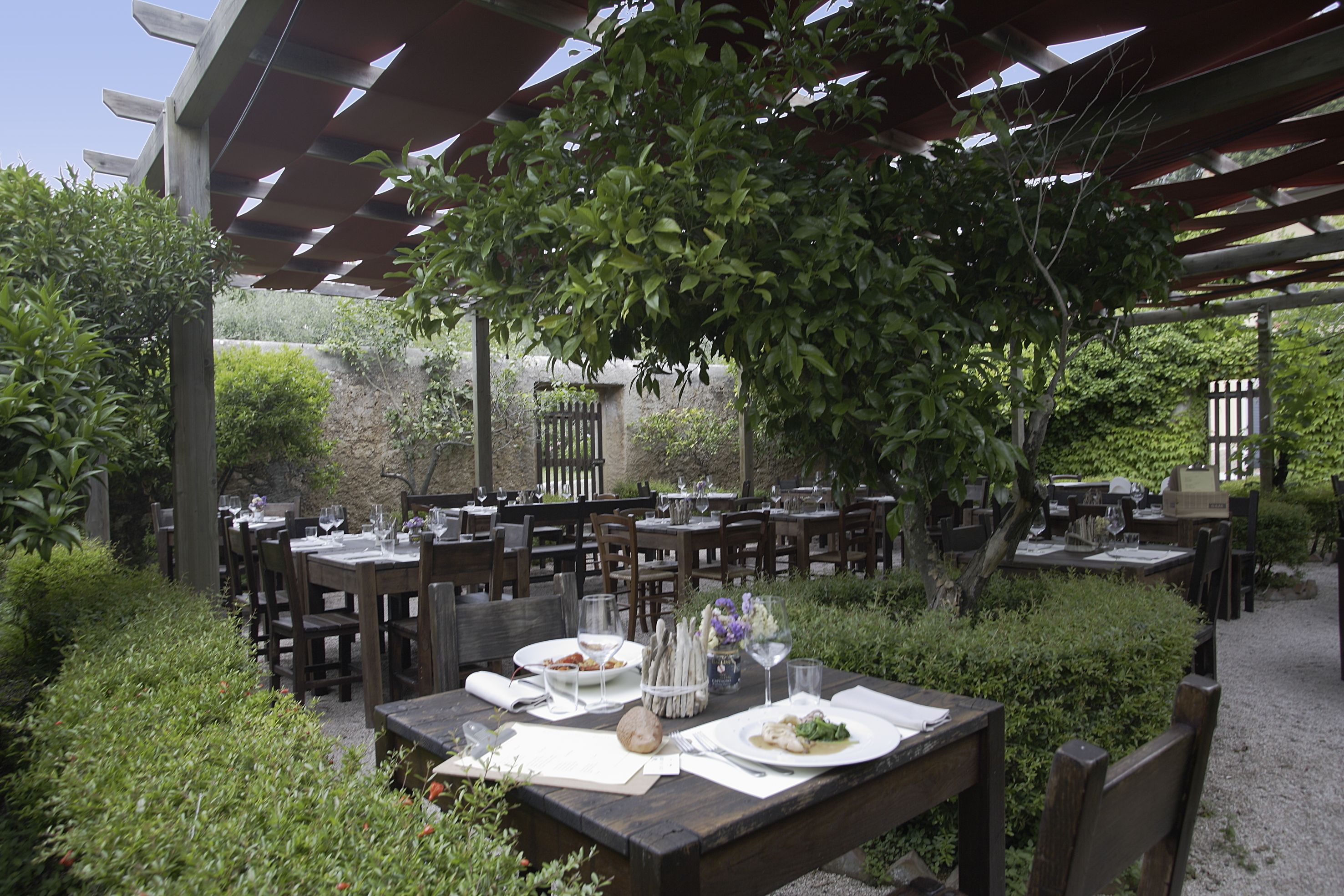 Italian cuisine, garden views 