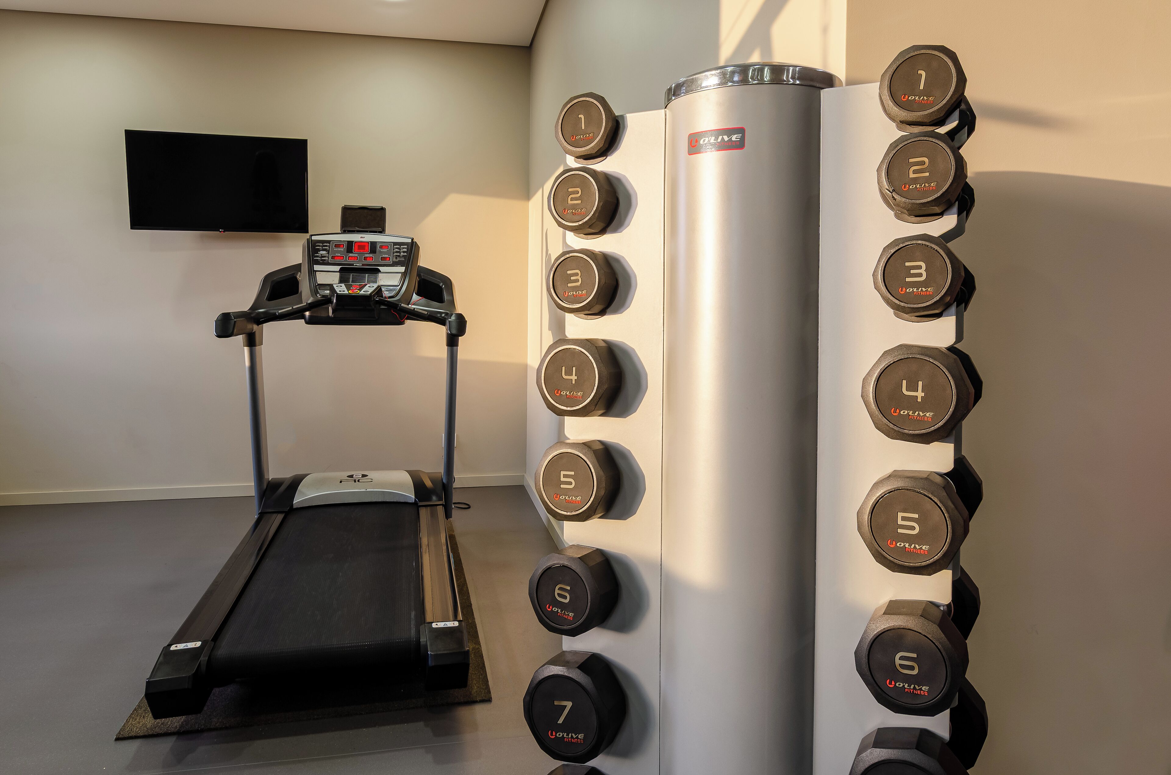 A gym with a treadmill, a wall-mounted TV, and a set of dumbbells labeled with numbers 1 to 7.