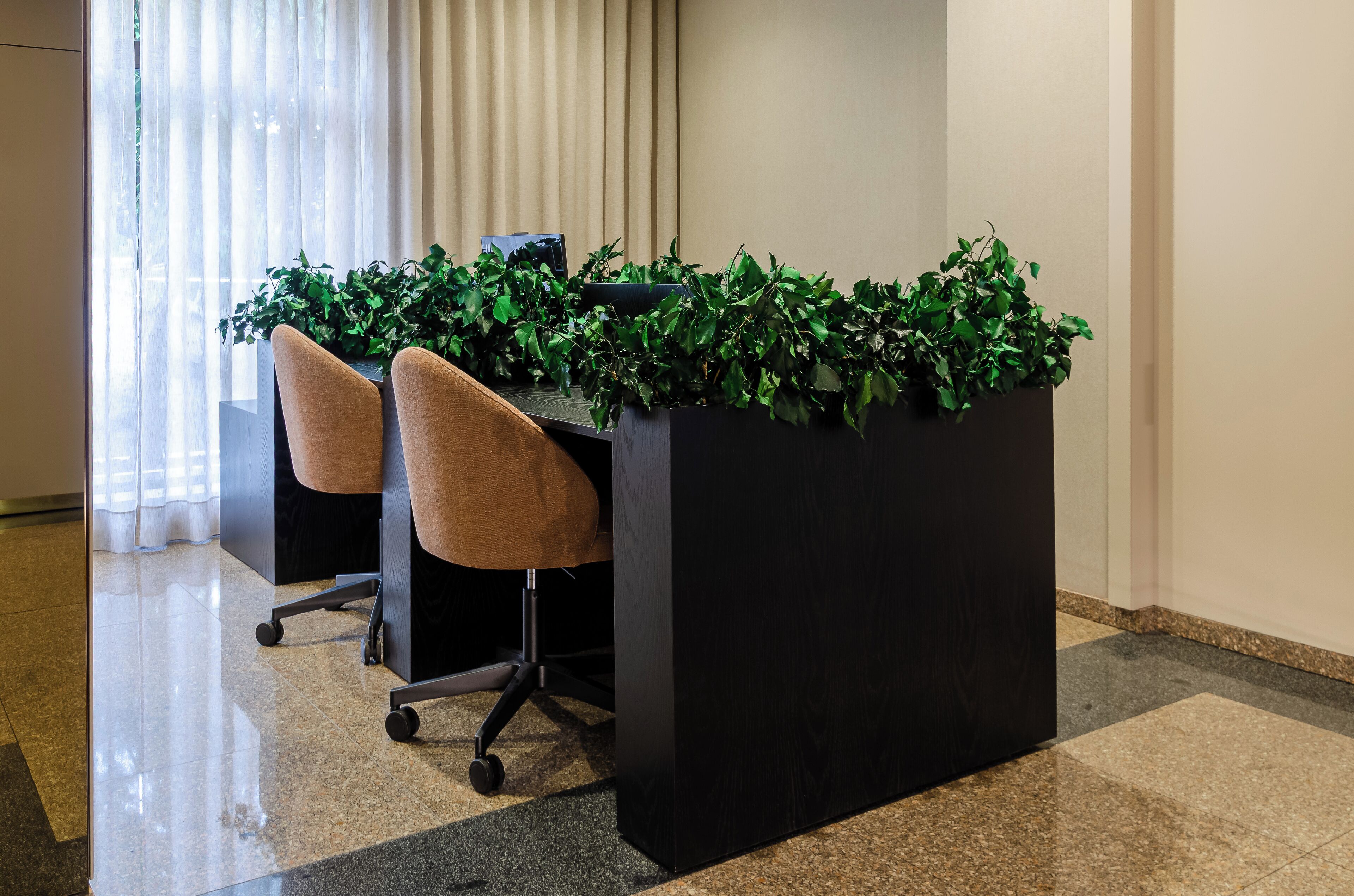 A modern office space with a black desk, two brown chairs, and a potted plant.