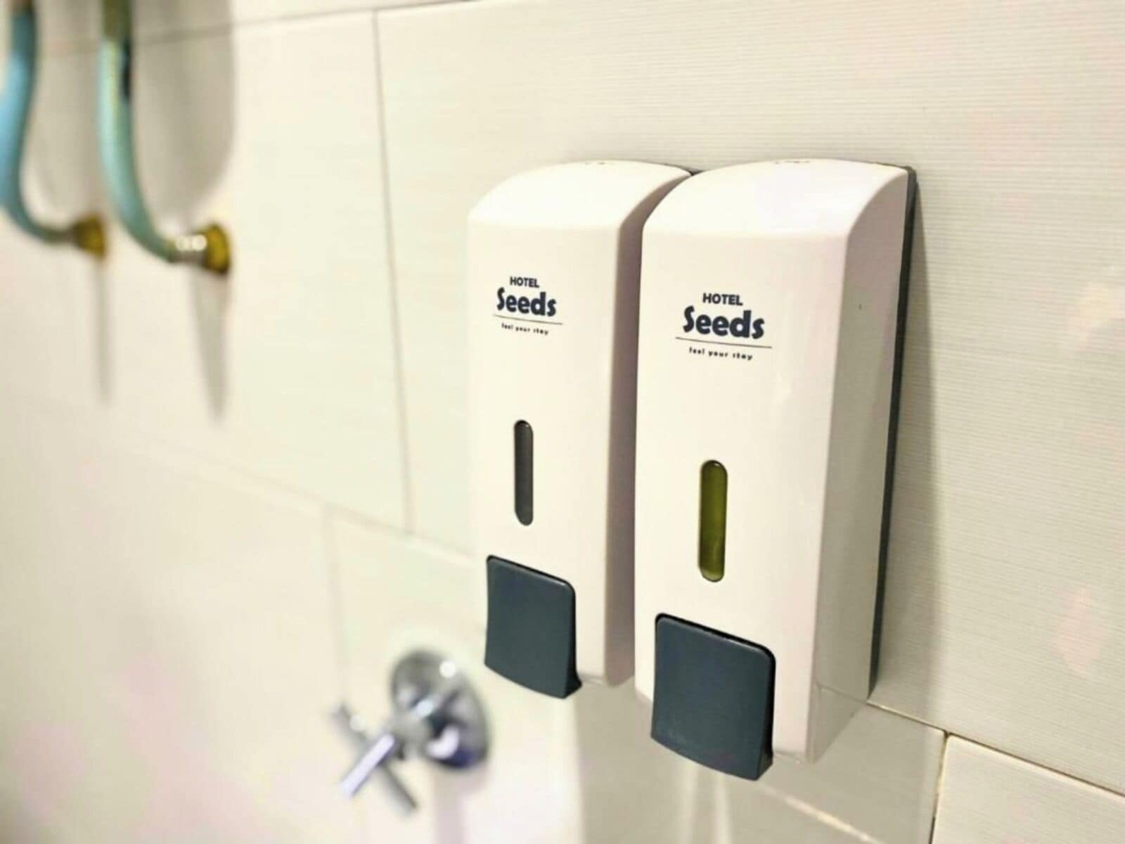 ฝักบัว, เรนชาวเวอร์, ไดร์เป่าผม, ผ้าเช็ดตัว