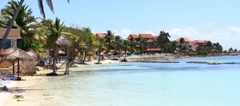 アベンチュラス クラブ ラグーン