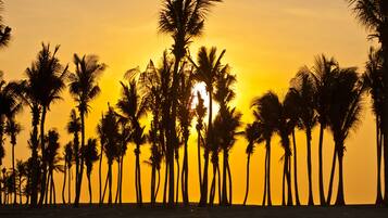 Ubicación a pie de playa, tumbonas, sombrillas y toallas de playa
