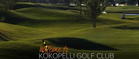 Campo de golf con una banderín, árboles y un obstáculo acuático.