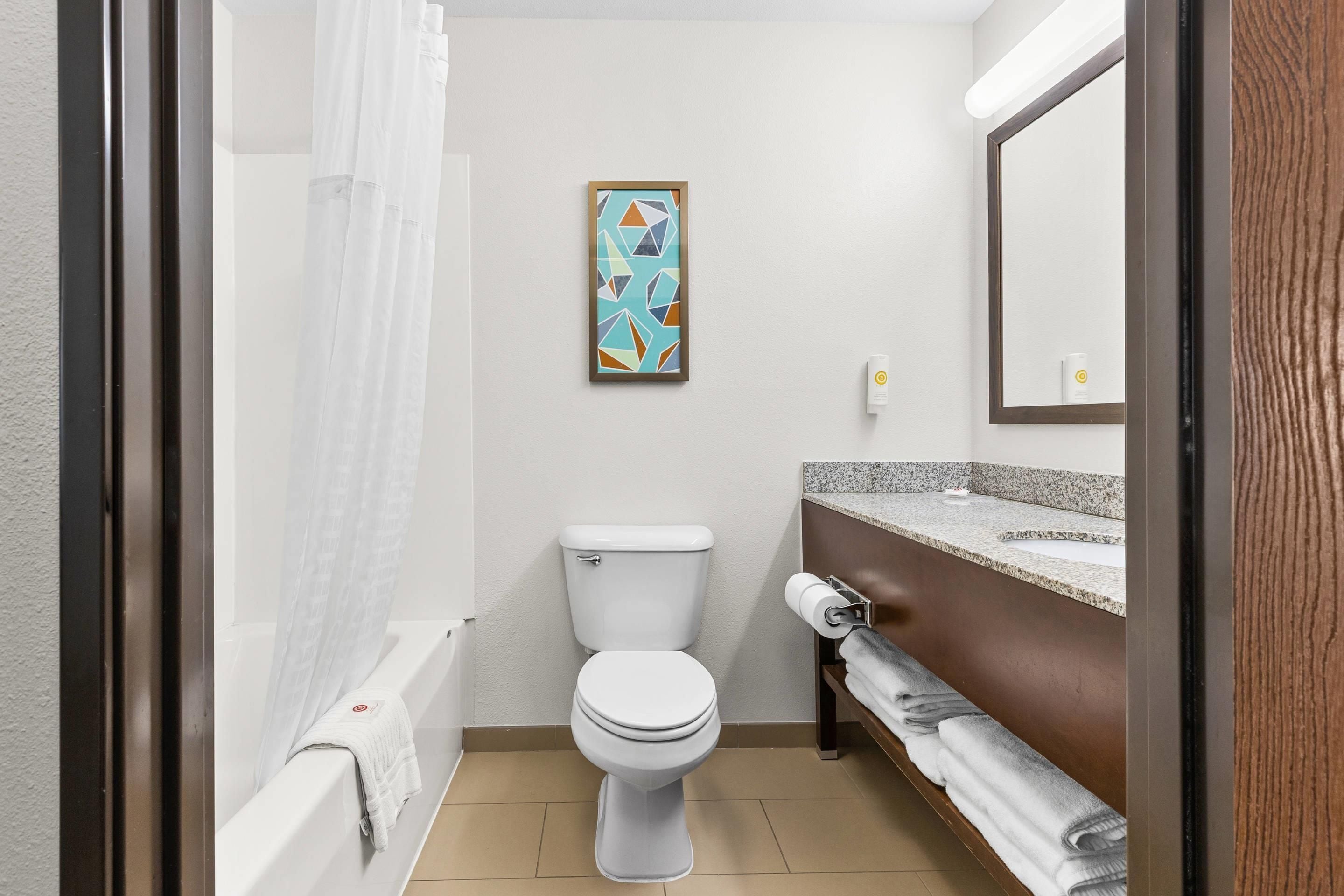 A bathroom with a toilet, shower curtain, towel rack, and a framed abstract painting.