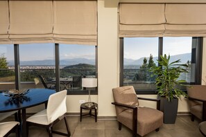 Suite (Panoramic View)