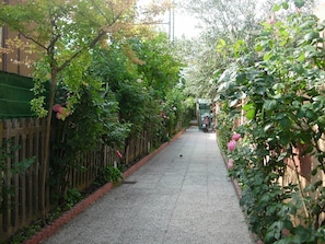 Taman