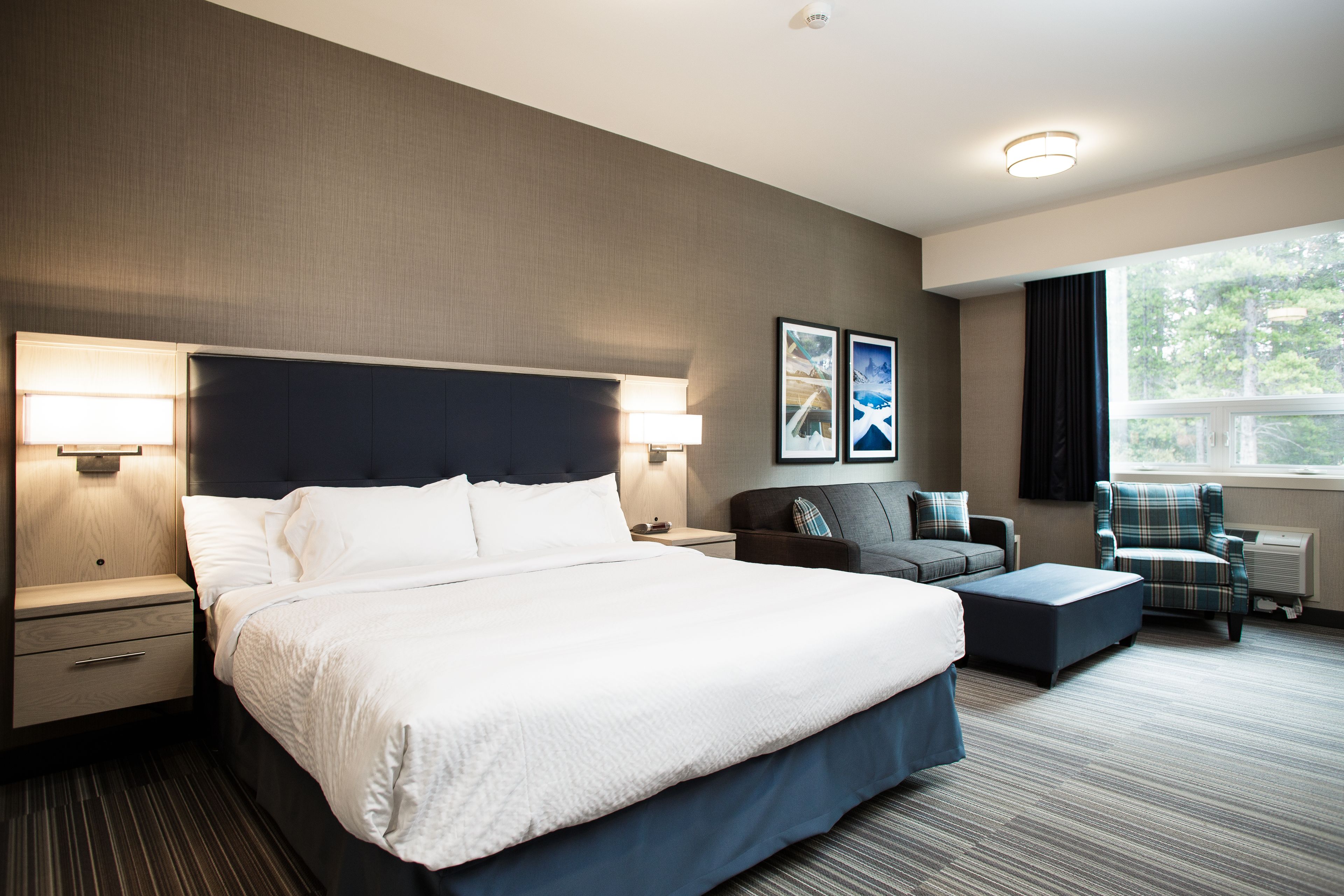 superior room, 1 king bed with sofa bed (not pet friendly) | 1 bedroom, down duvets, in-room safe, laptop workspace