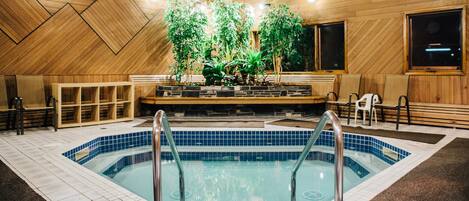 Ein Holzinnenraum mit Pool, Sitzbereich und Topfpflanzen.