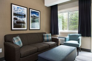 Rom – superior, 1 queensize-seng med sovesofa (Not Pet Friendly) | Oppholdsområde | TV