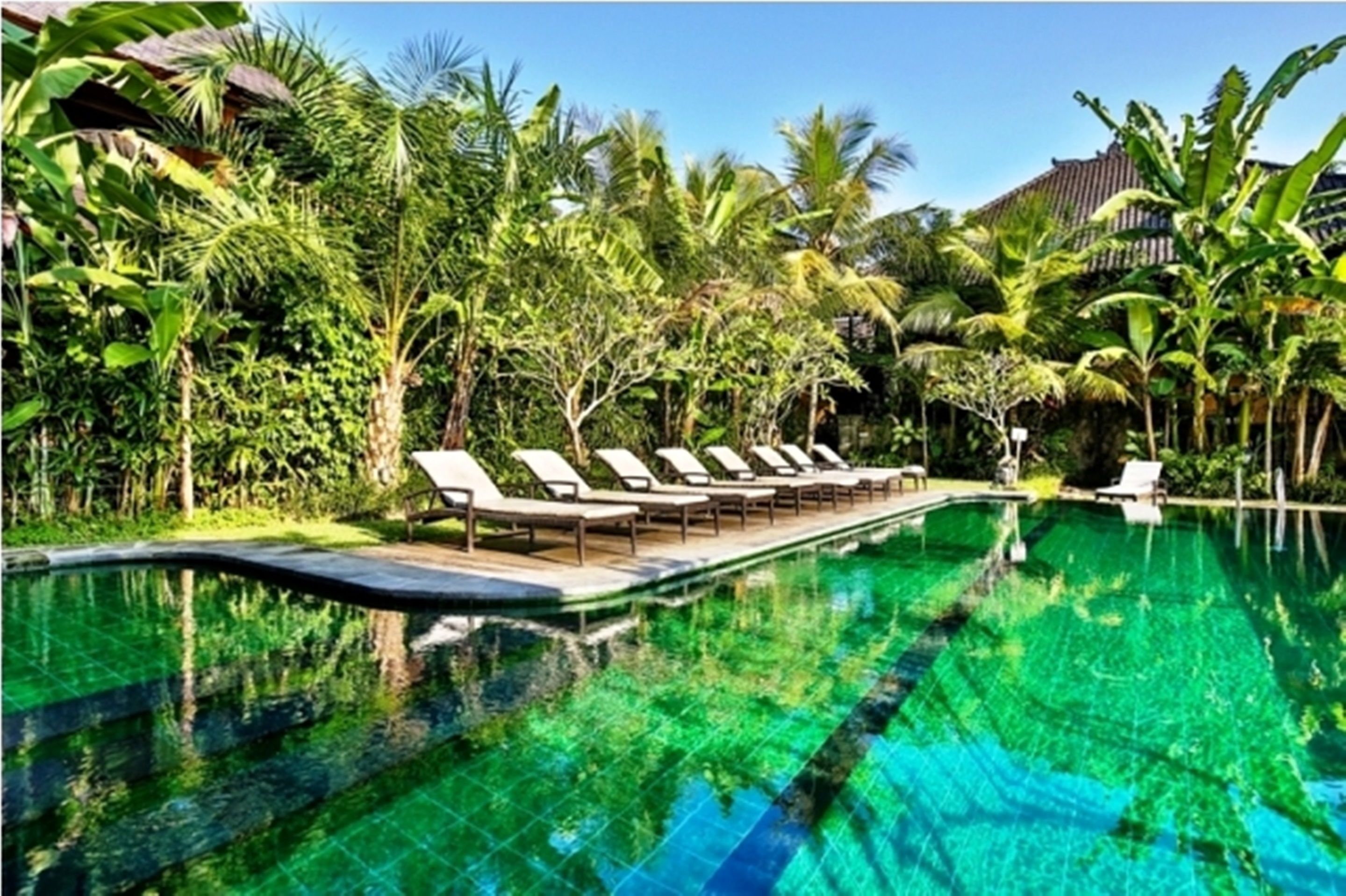 Une piscine entourée de chaises longues, de verdure luxuriante et de palmiers.