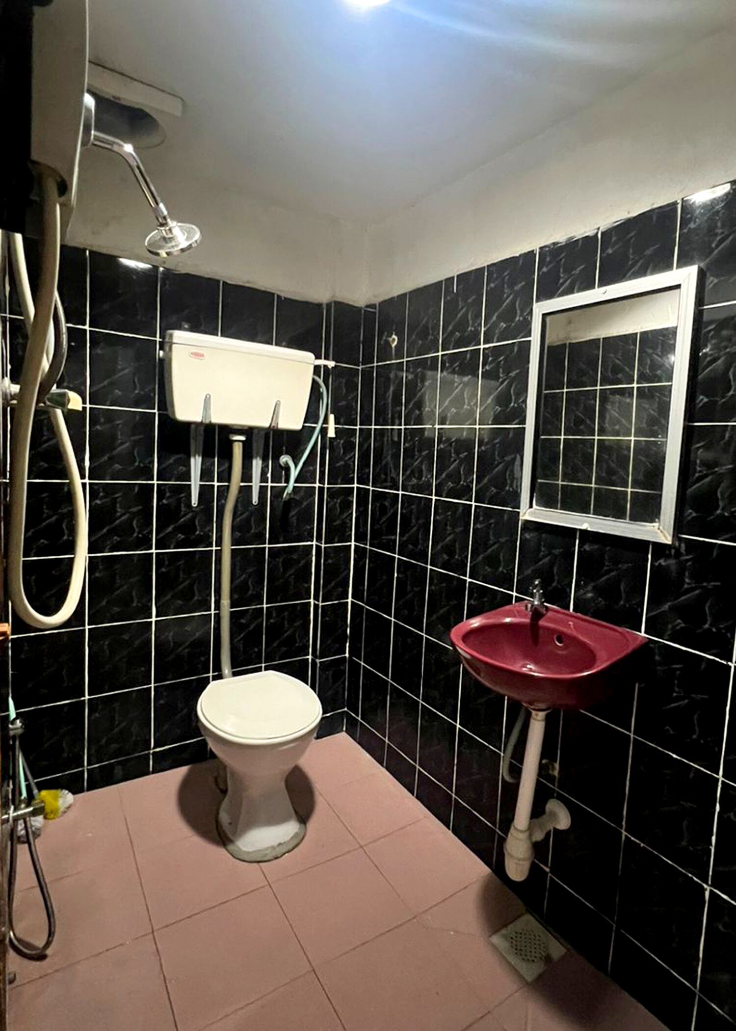 Une salle de bain avec des toilettes, un lavabo et une douche.