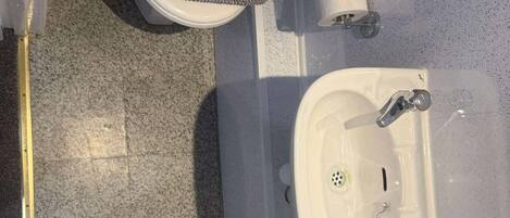 Baño con inodoro, lavamanos y zona de ducha.