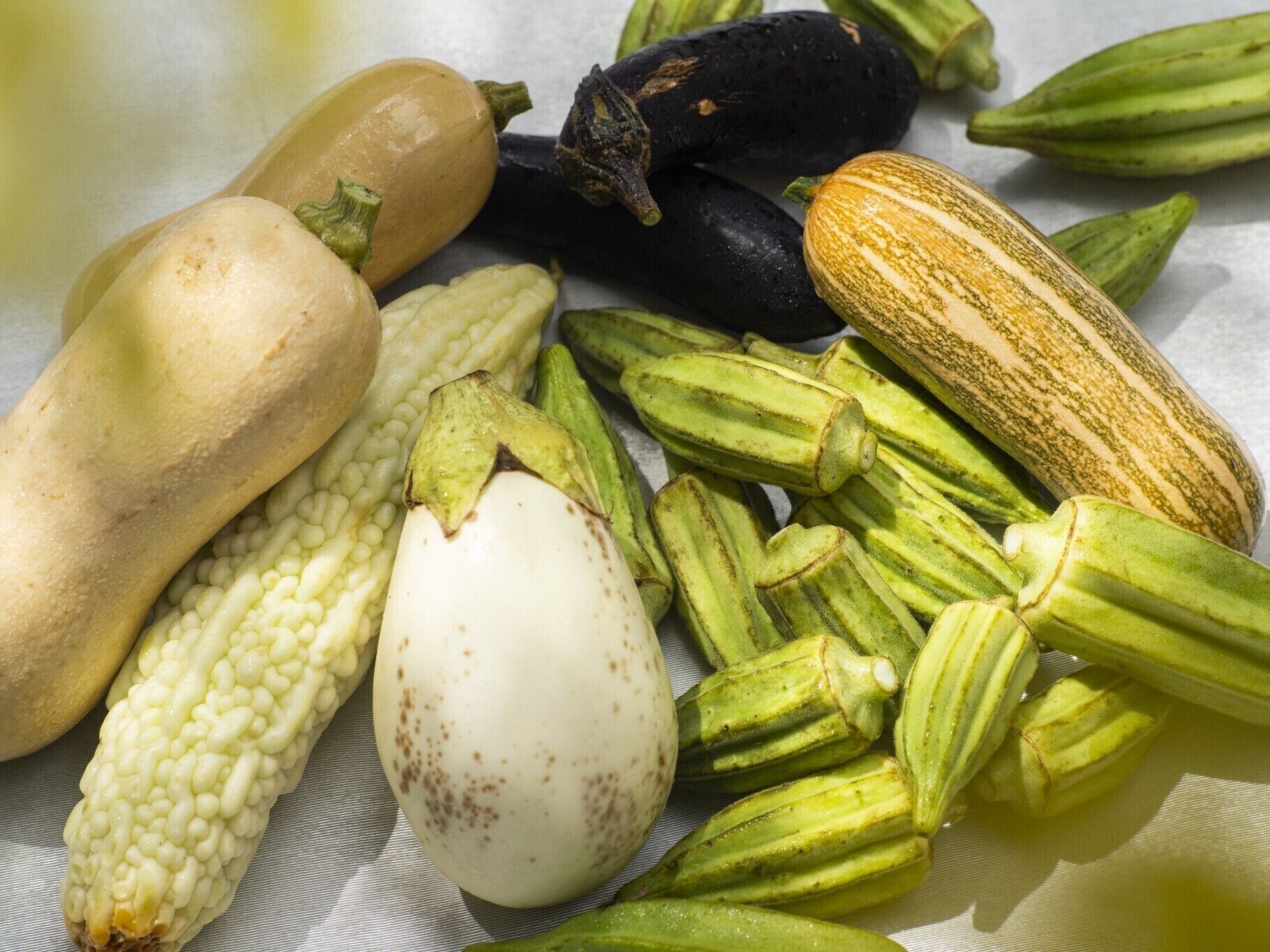 Diversos vegetais, incluindo quiabo, berinjela e abóbora.