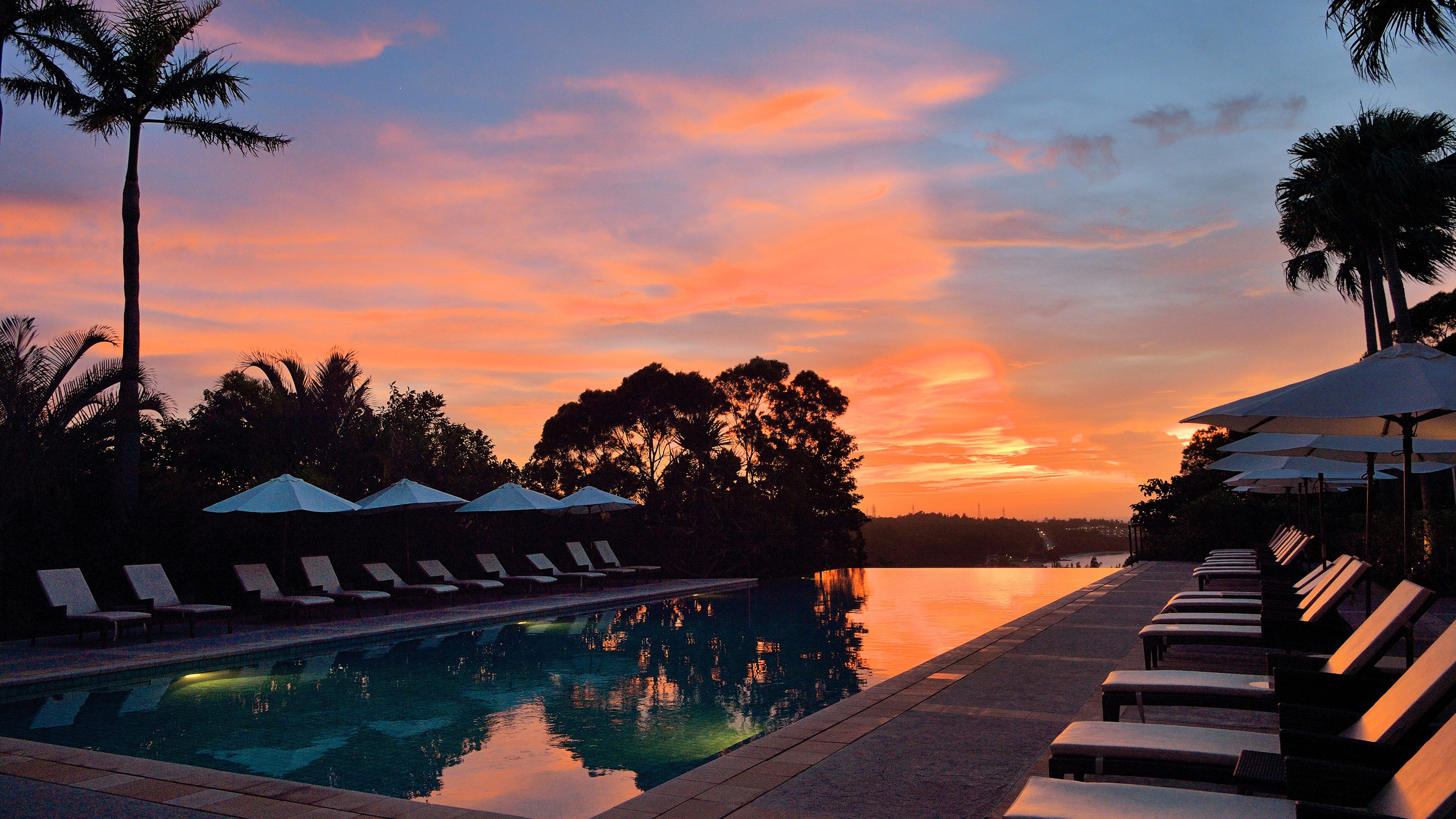 Outdoor pool, pool umbrellas, sun loungers