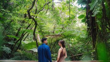Una pareja está de pie sobre un puente de madera en un bosque frondoso.