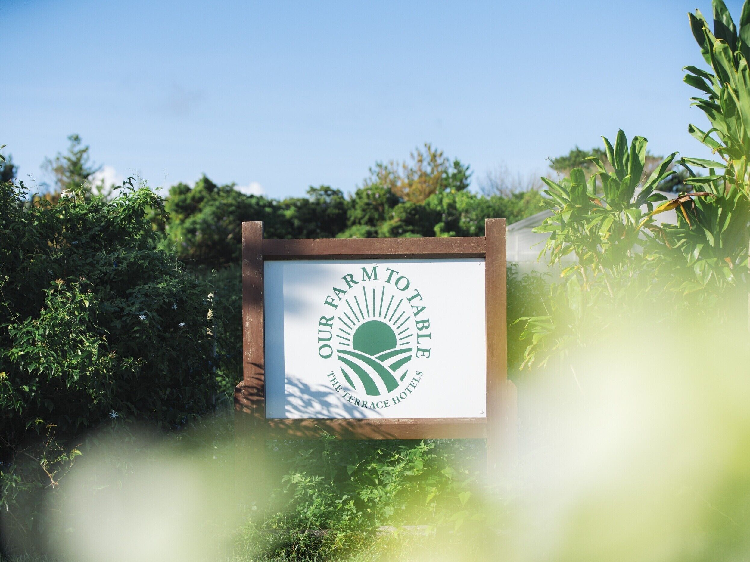 A framed sign with the text "OUR FARM TO TABLE THE TERRACE HOTEL" surrounded by greenery.