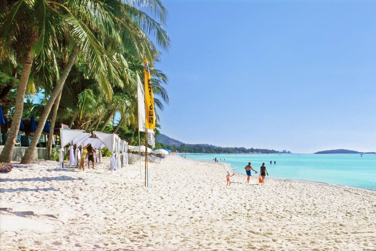 A beach with white sand, palm trees, and clear blue water.