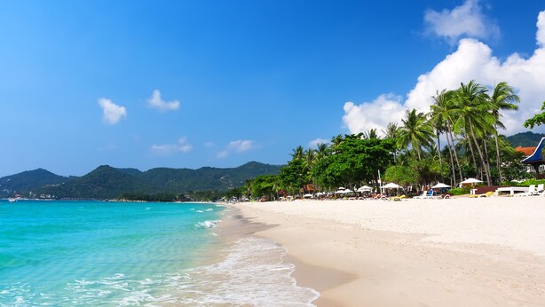 A beach with clear turquoise water, palm trees, and a mountainous backdrop. - Art Hotel Chaweng Beach (Koh Samui)