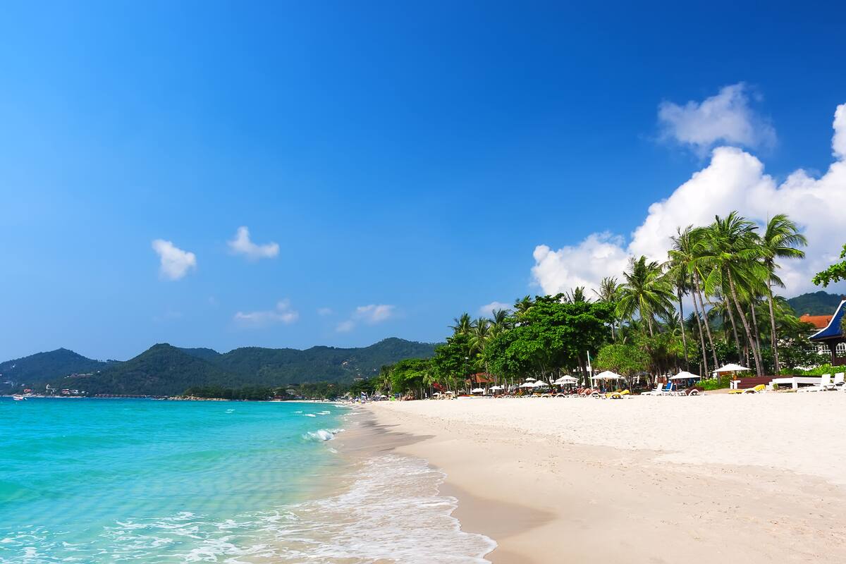 A beach with clear turquoise water, palm trees, and a mountainous backdrop.