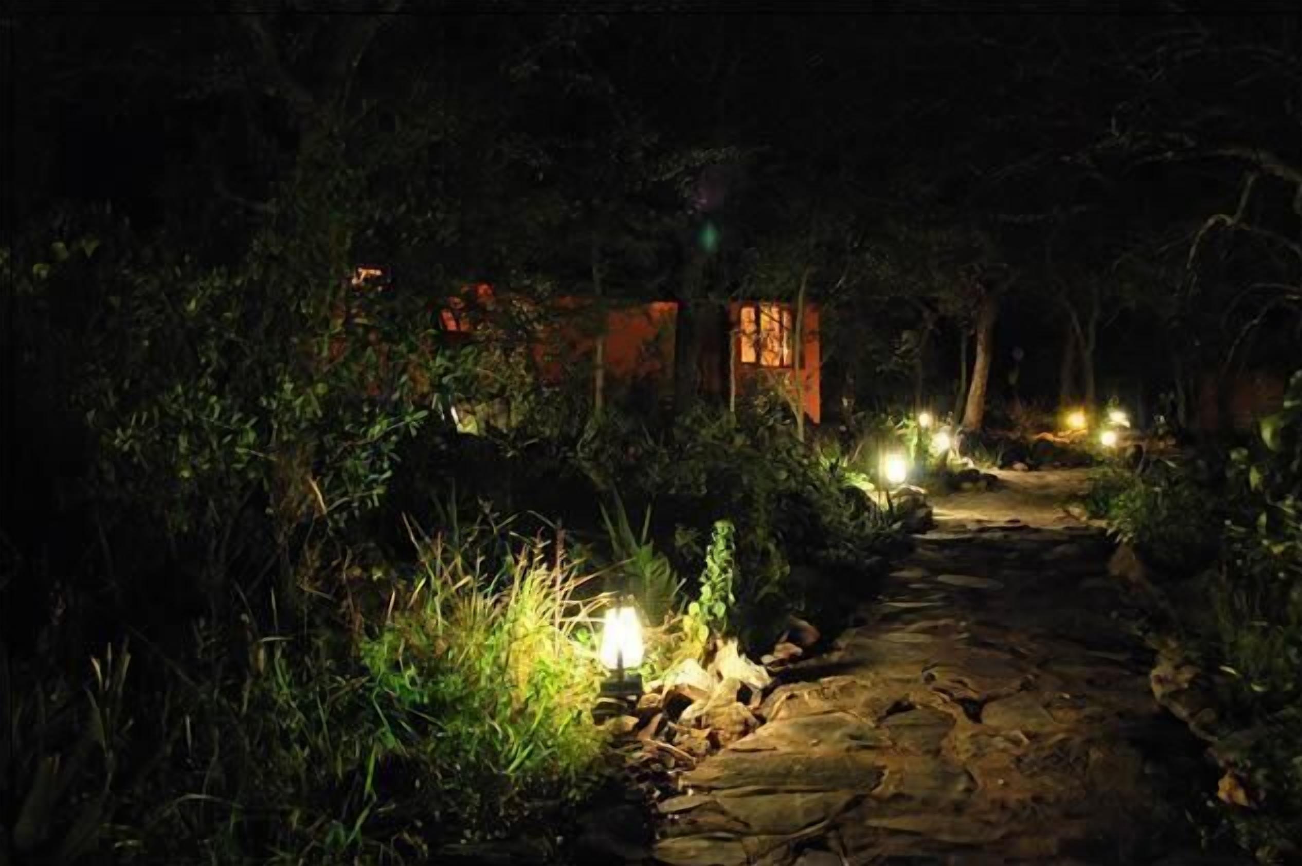 A stone pathway lit by lanterns, surrounded by dense foliage and trees.