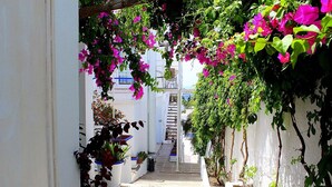 Un estrecho callejón con paredes blancas, plantas en macetas y buganvillas colgantes.