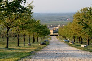 Front of property - Lama di Luna Biomasseria (Andria)