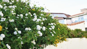 A white building with a red-tiled roof, surrounded by greenery and white flowering bushes. - Hotel Aeroporto (Maia)