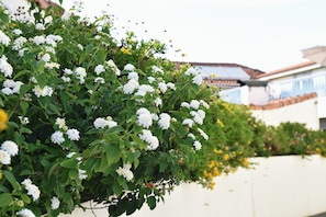 Aerial view - Hotel Aeroporto (Maia)