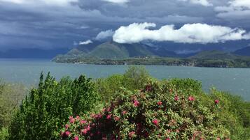 Executive Suite, 2 Bedrooms, Lake View