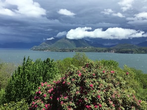 Executive Suite, 2 Bedrooms, Lake View
