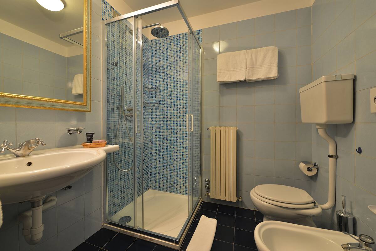 shower, free toiletries, hair dryer, slippers