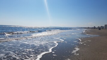 Vista desde la propiedad