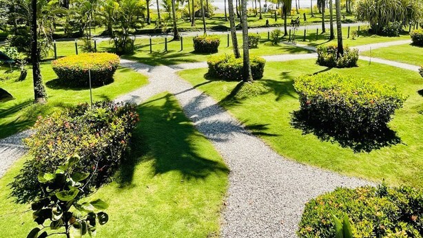 Ein tropischer Garten mit Palmen, einem Kiesweg und gepflegten Rasenflächen.