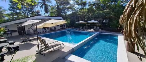 A swimming pool with lounge chairs and umbrellas, surrounded by tropical vegetation.