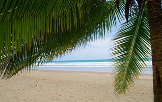 Praia particular, areia preta, espreguiçadeiras, guarda-sóis 