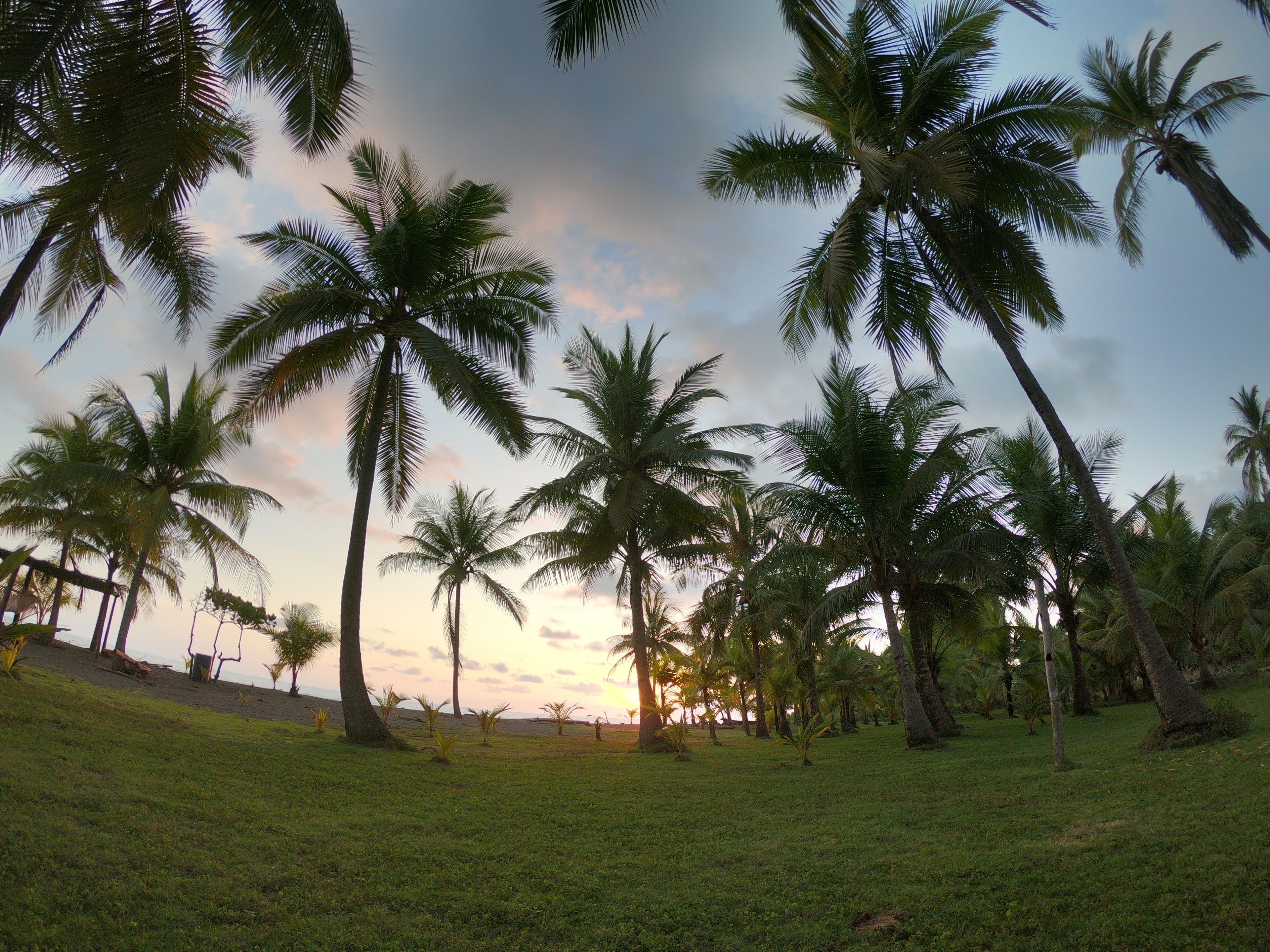 private beach, black sand, sun-loungers, beach umbrellas