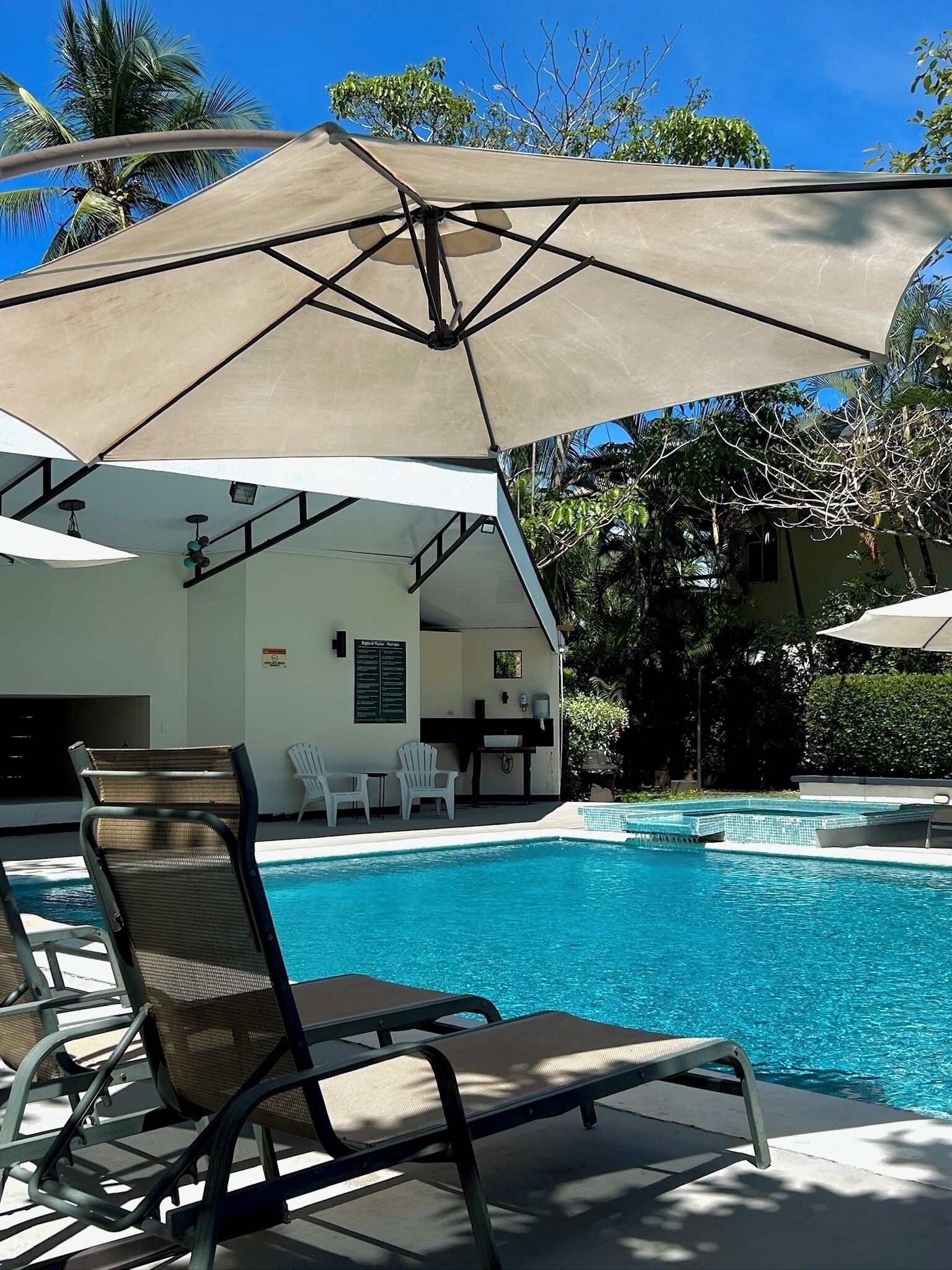 outdoor pool, pool umbrellas, pool loungers