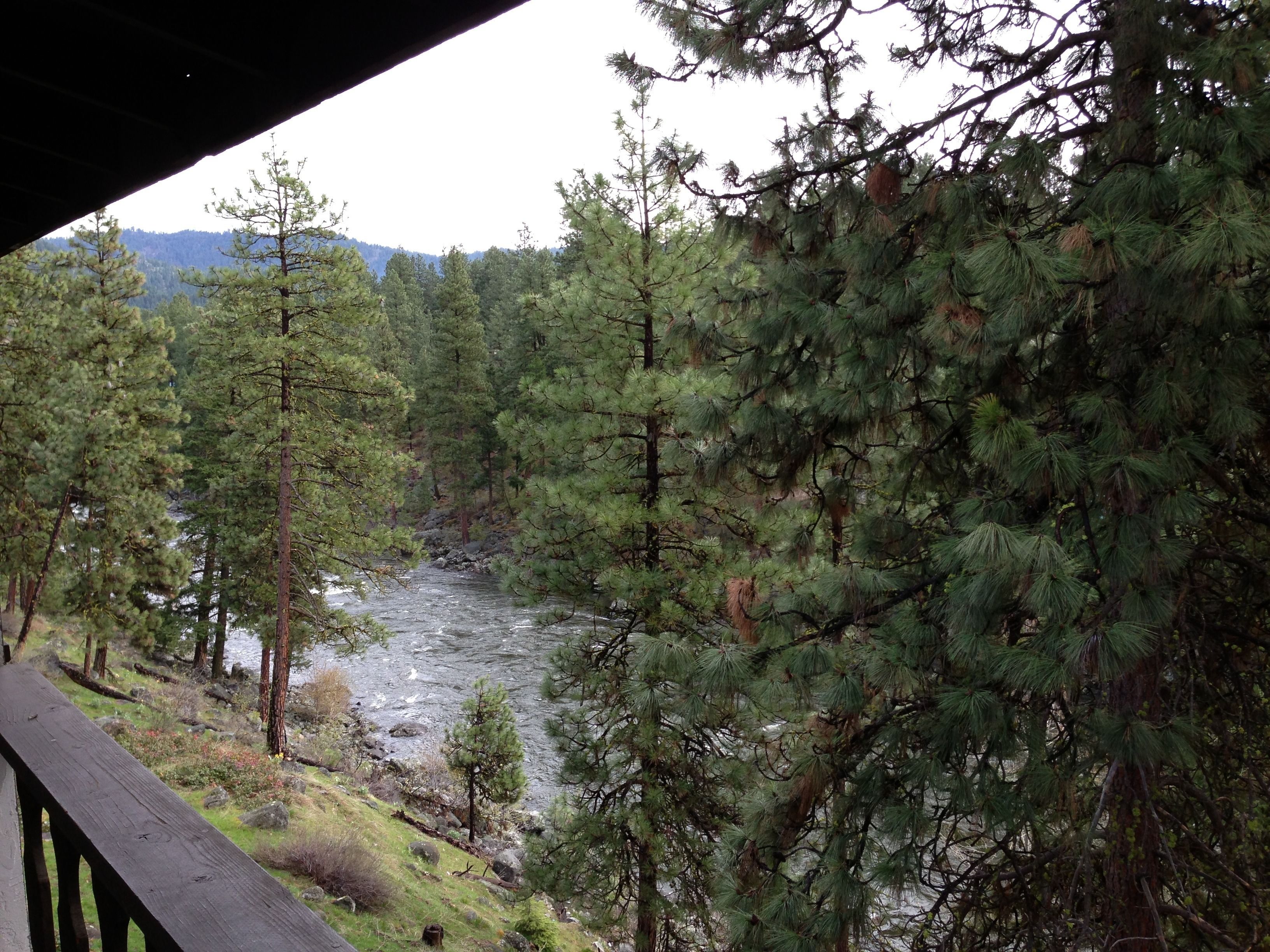 Foto - Alpine Rivers Inn