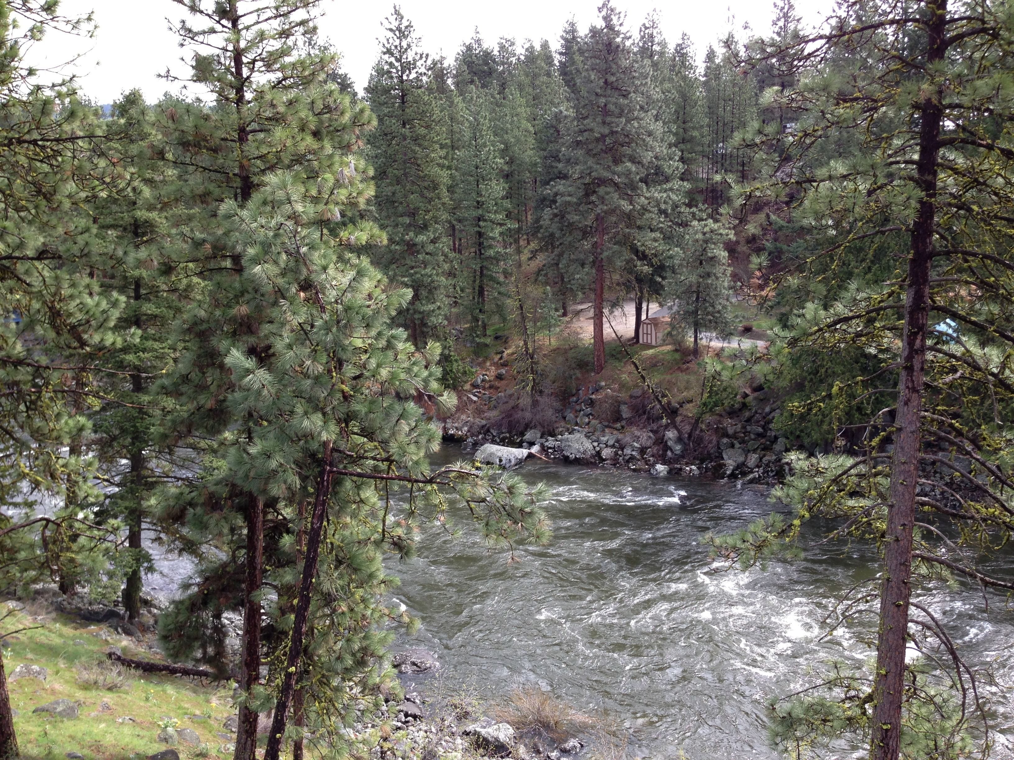 Foto - Alpine Rivers Inn