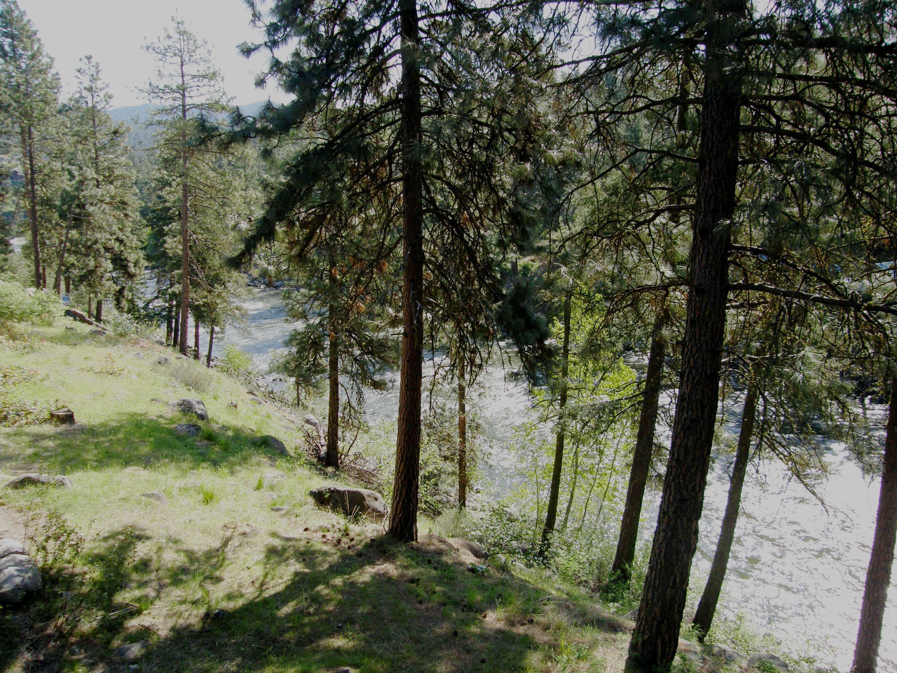 Foto - Alpine Rivers Inn